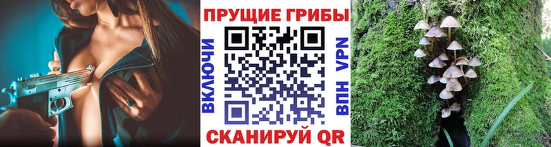 где купить наркоту  Пучеж  Галлюциногенные грибы прущие грибы 